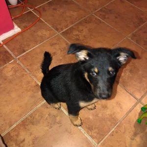 Meet your Posher, Jacqueline